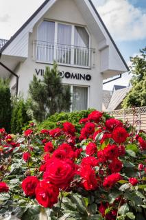 Vila Domino - 9