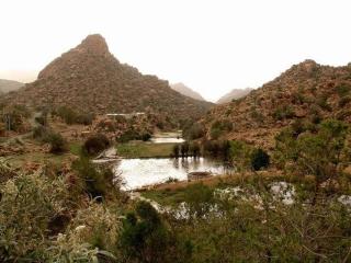 الركائز للشقق المخدومة - 9