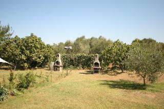 Due casette con Piscina - 8