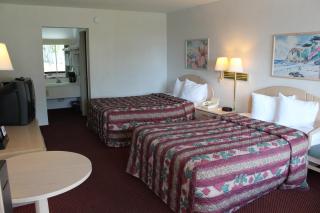 Quality Inn Saint Petersburg North-Tampa Bay - St. Petersburg - 3