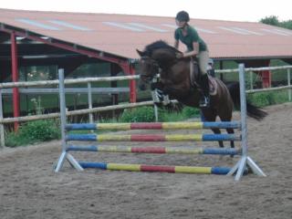 Ferienhof Pfeiffer - Buchen - 3