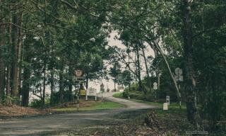 Forest Cyniciam Homestay - 4