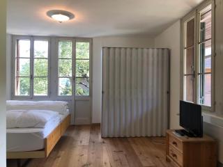 Hotel Krone Budget - Lenk im Simmental - 5