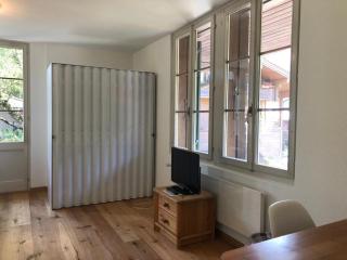 Hotel Krone Budget - Lenk im Simmental - 9