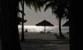 Pongwe Bay Resort - Pongwe - 1