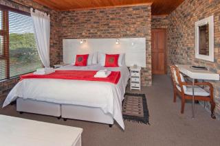 White Shark Guest House - Gansbaai - 4
