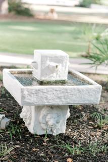 Georgia Palms & Gardens - Powder Springs - 5