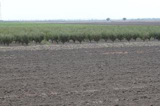 Agriturismo Silos Agri - 7