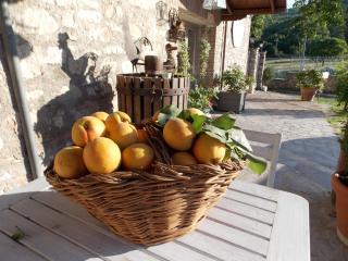B&B Nonna Rosa - Norcia - 2