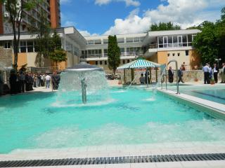 Hotel Termal - Baile Felix - 6