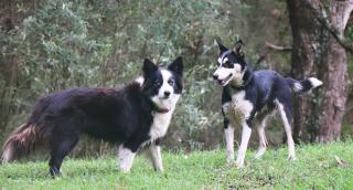 Johanna River Farm & Cottages - 5