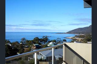 Bicheno Views on Douglas - Bicheno - 5