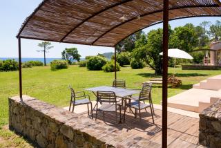 Domaine de Pianiccia - Favone - 0