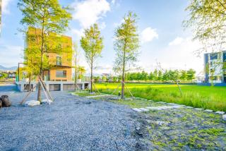 Maple Left Shore - 6