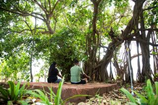 Exotica By The Sea - Diveagar - 1