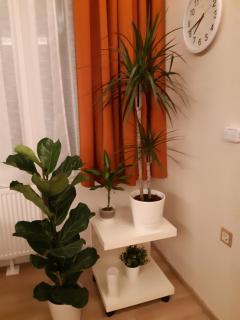 Modern, Quiet & Cozy Apartment in the middle of Downtown near Danube at Fashion street - 1