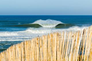 HOSSEGOR LA VIGIE entre lac et océan - Soorts-Hossegor - 2