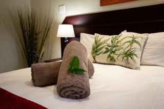 Forest Lodge - St Lucia - 4