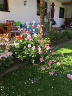 Appartements Wacker - Bichlbach - 8