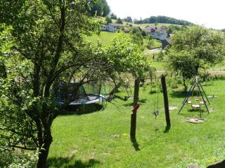 Pension Holzerstube - Beerfelden - 1