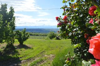 Tra... Monti E Vigne - La Morra - 5
