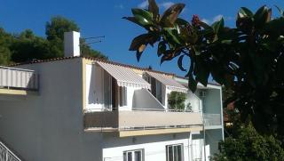 Apartmani Carević - Baška Voda - 0