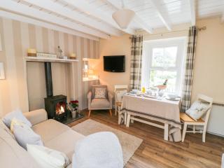 Pheasant Cottage - Whitby - 6