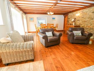Coth Skyber - Hayle - 5
