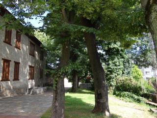 Albergue Francisco Giner De Los Rios - Villablino - 7