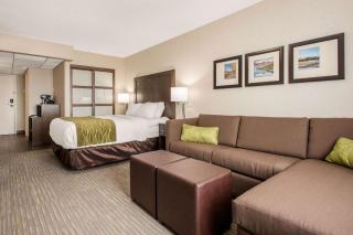 Comfort Inn & Suites - 7