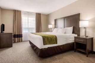 Comfort Inn & Suites - Red Deer - 6