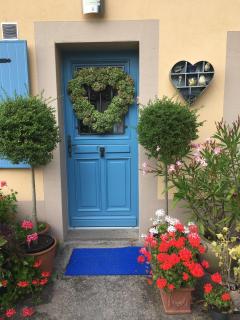 La Mésange bleue - 7