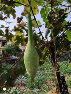 Magdalini Studio - 3