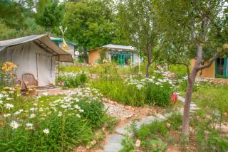 The Monk Campsite by Livingstone - Kalpa - 4