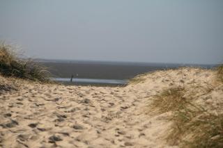 Frische Brise 07.01 Behinderten- und Rollstuhlgerecht - Cuxhaven - 9
