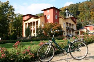 Parkhotel Bad Schandau mit SPA - Bad Schandau - 5