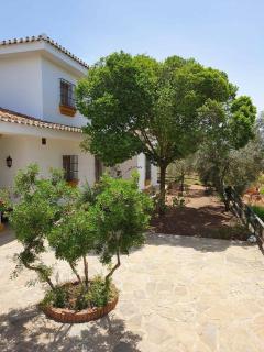 Cortijo El Arrejadero - Villanueva del Rosario - 9