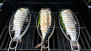 Ferienhaus SeeWaldMeer am Pinnower See bei Schwerin - Pinnow - 4