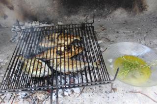 Apartments Andrea - 5