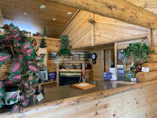 Tahoe Valley Lodge - 1