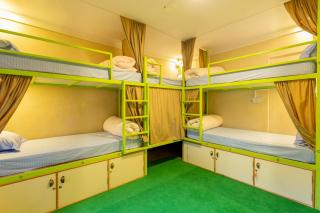 Big Tree Hostel - Kathmandu - 2