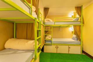 Big Tree Hostel - 8