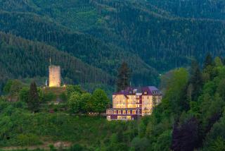 Hotel Schloss Hornberg - Hornberg - 0