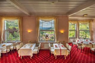 Hotel Schloss Hornberg - Hornberg - 3