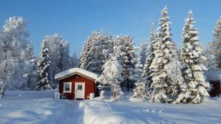 Myrkulla Lodge - Jerfojaur - 9