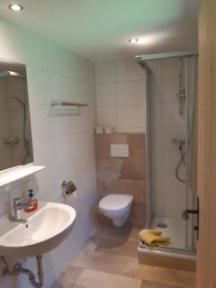 Gut Vögeihof - Forstau - 1