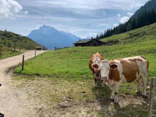 Ferienwohnungen Oberau - 3