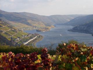 Ferienwohnungen Kachel - Bacharach - 8