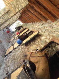 Agriturismo al pra di muriet - Susa - 1