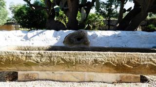 Casale Cappuccio Apartments - 4